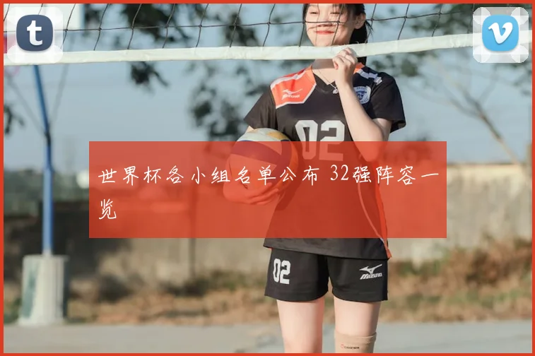 世界杯各小组名单公布 32强阵容一览