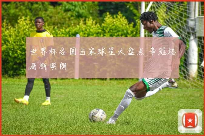 世界杯各国当家球星大盘点 争冠格局渐明朗