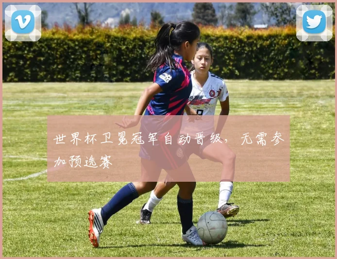 世界杯卫冕冠军自动晋级,无需参加预选赛